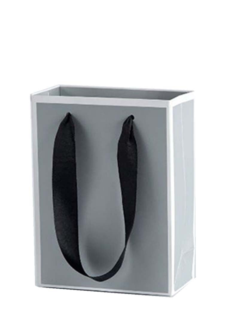 DISPLAY550 - Grey Paper Gift Bags  (10 pcs/pack)