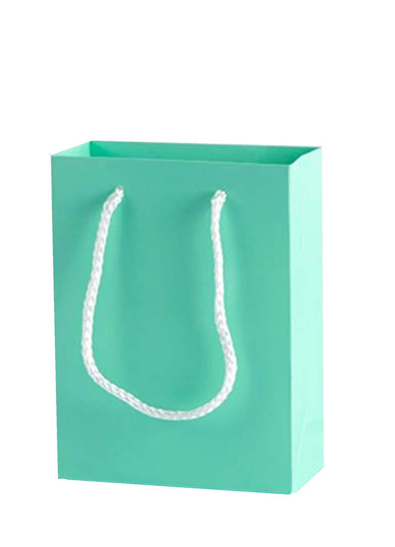 DISPLAY551 - Tiffany Blue Paper Gift Bags (10 pcs/pack)