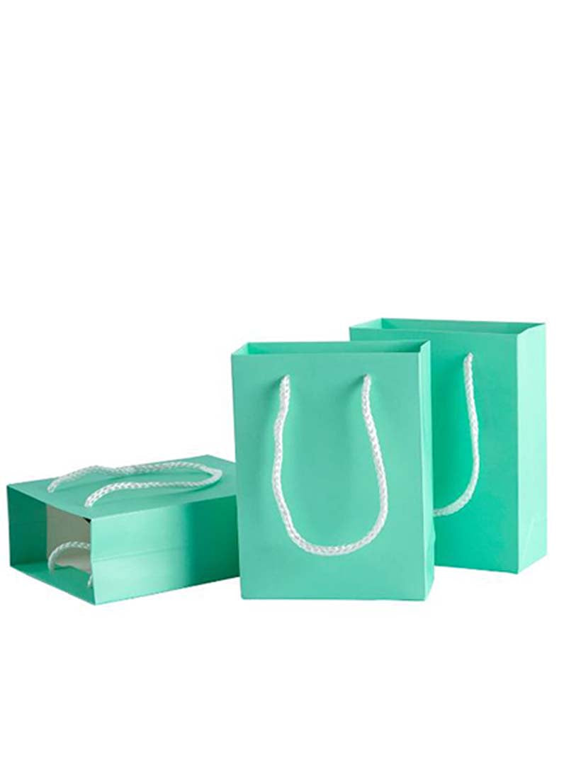 DISPLAY551 - Tiffany Blue Paper Gift Bags (10 pcs/pack)