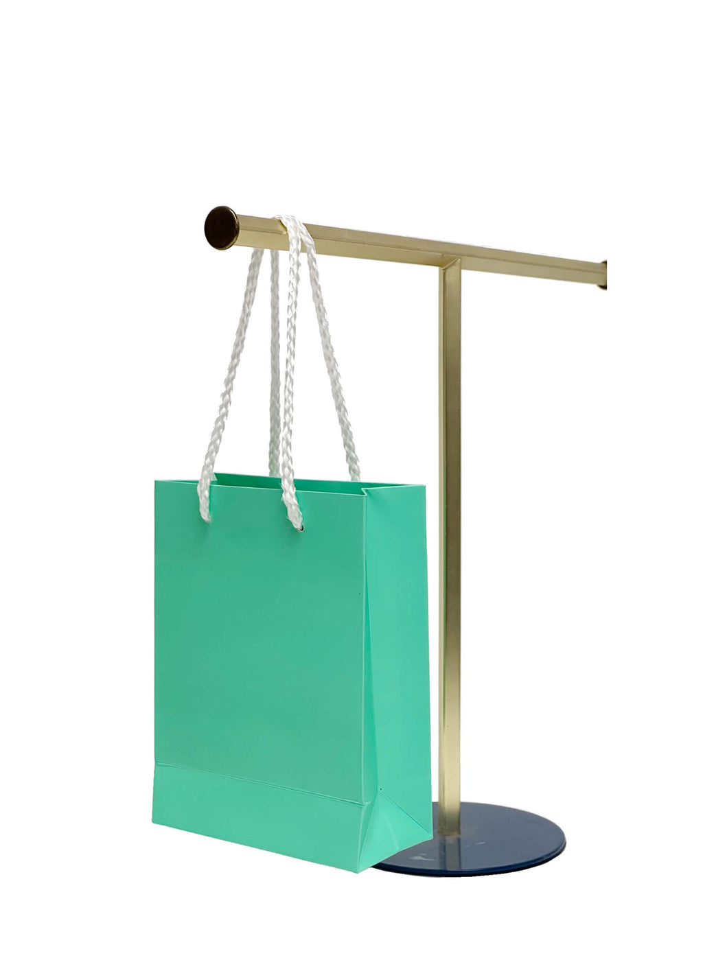 DISPLAY551 - Tiffany Blue Paper Gift Bags (10 pcs/pack)