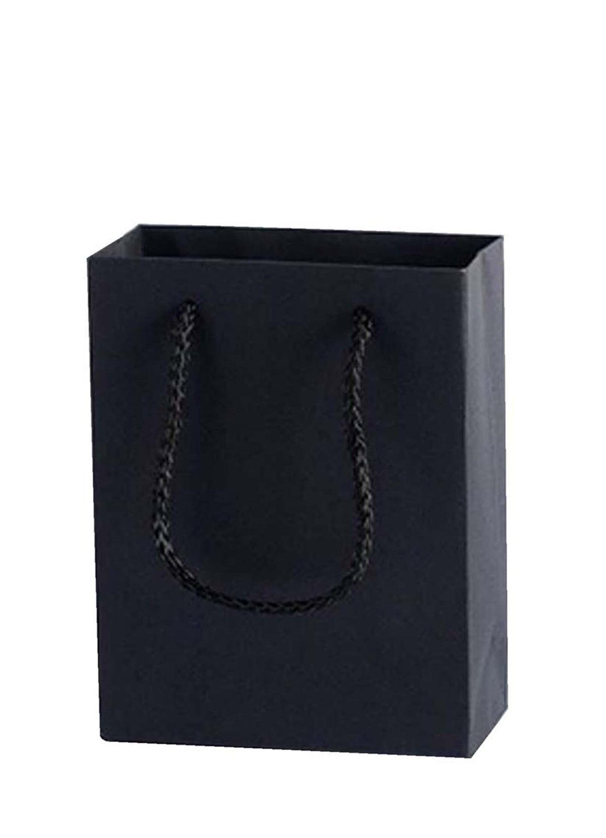 DISPLAY551 - Black Paper Gift Bags (10 pcs/pack)