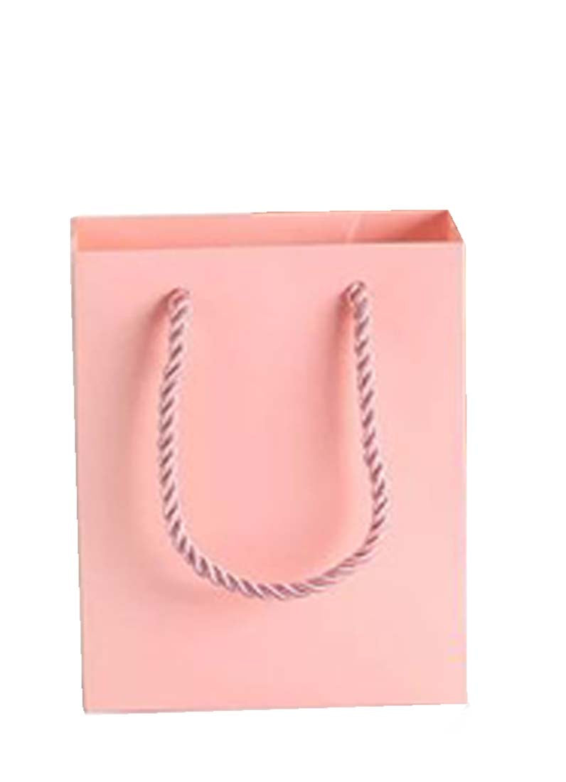DISPLAY551 - Pink Paper Gift Bags (10 pcs/pack)