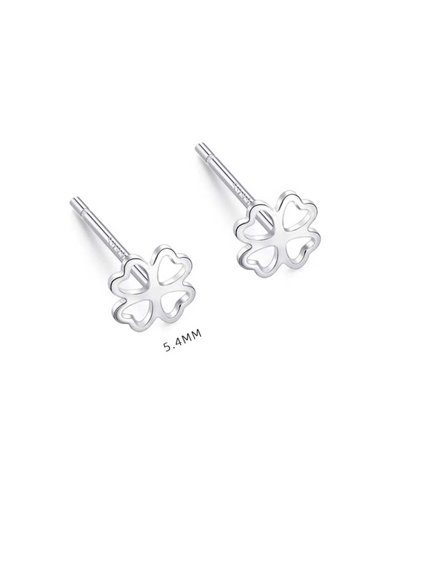 STE311E - Silver Earrings