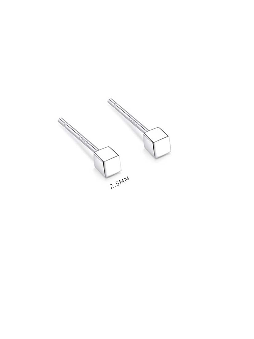 STE313E - Silver Earrings