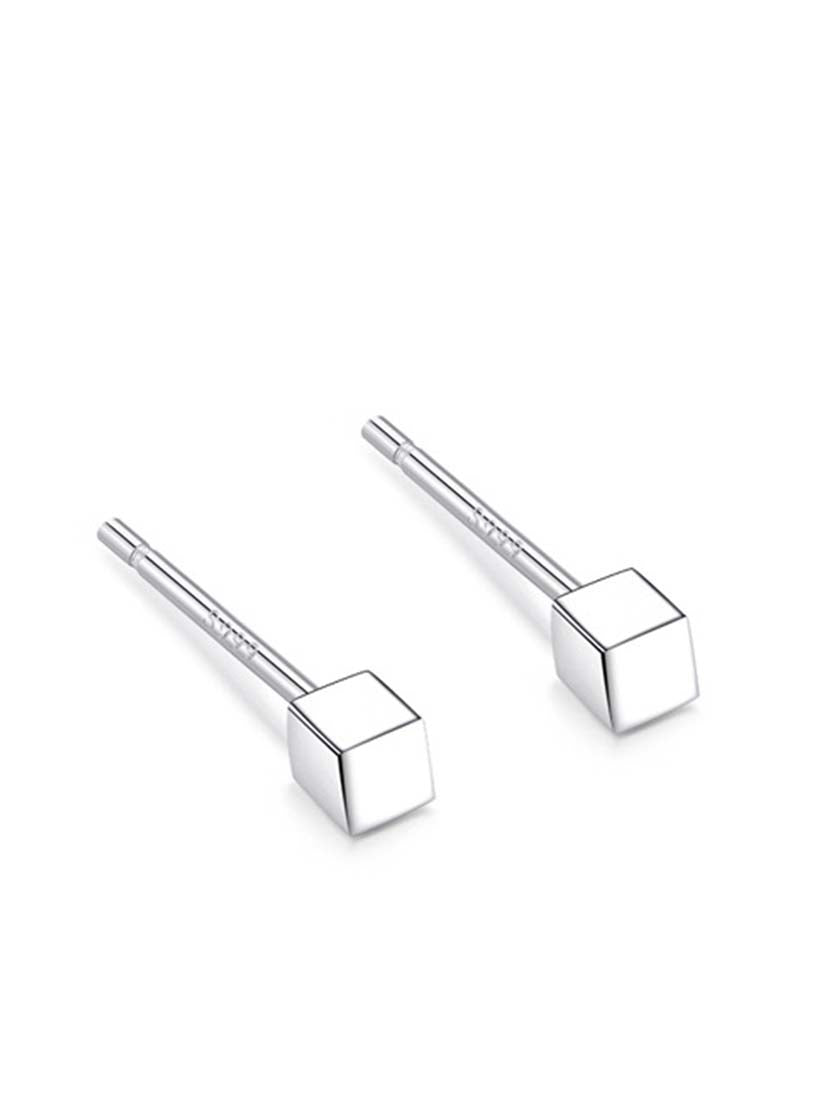 STE313E - Silver Earrings