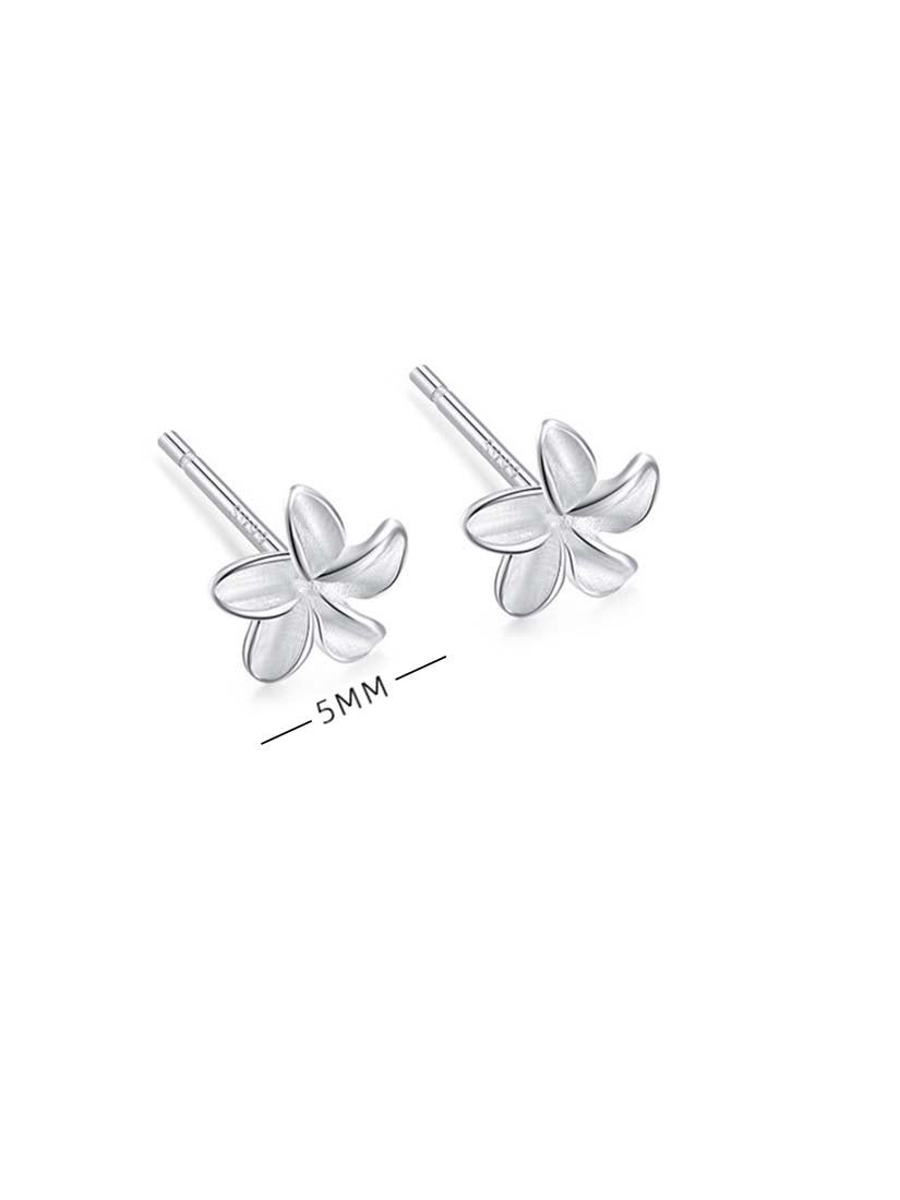 STE314E - Silver Earrings
