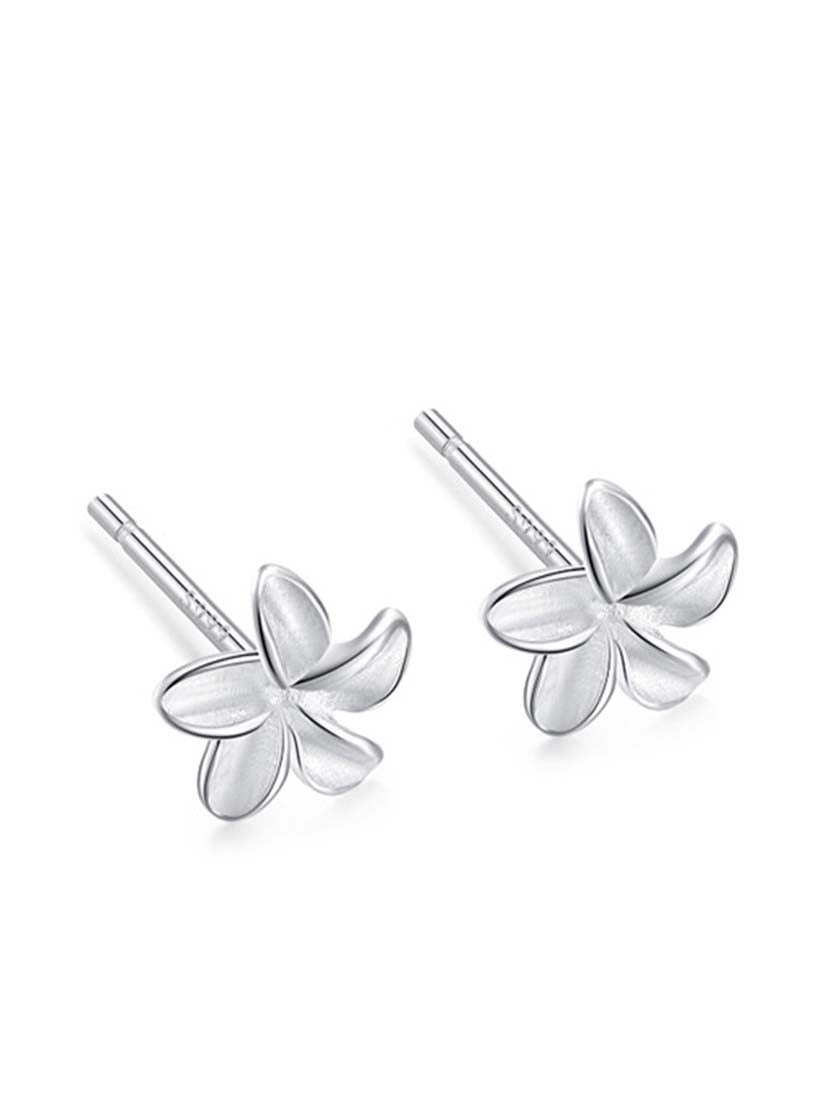 STE314E - Silver Earrings