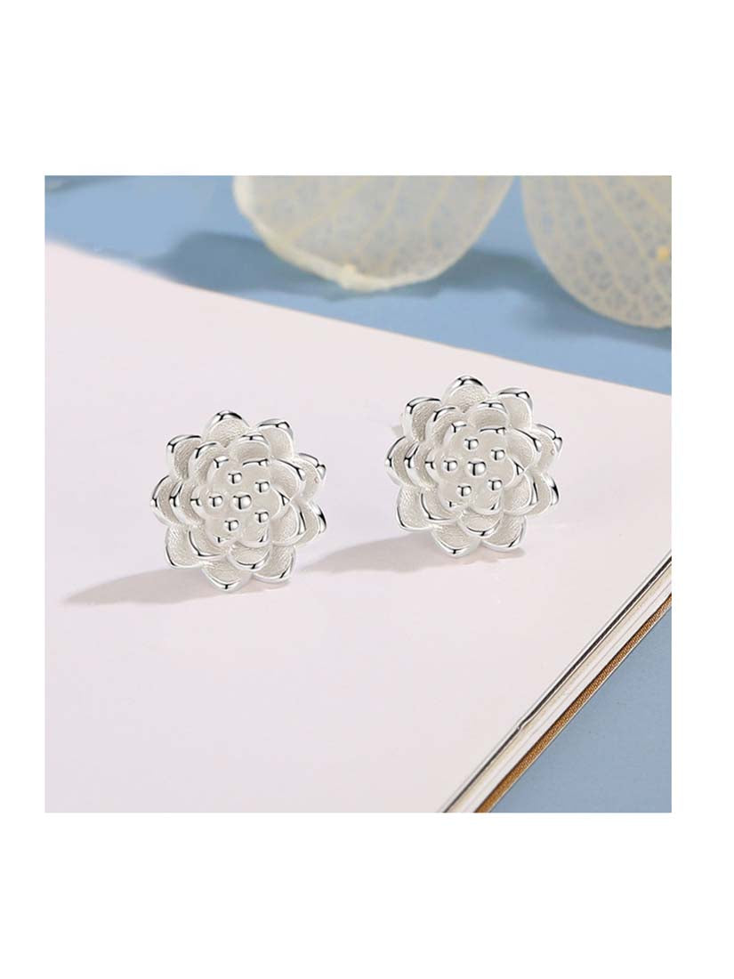 STE325E - Silver Earrings