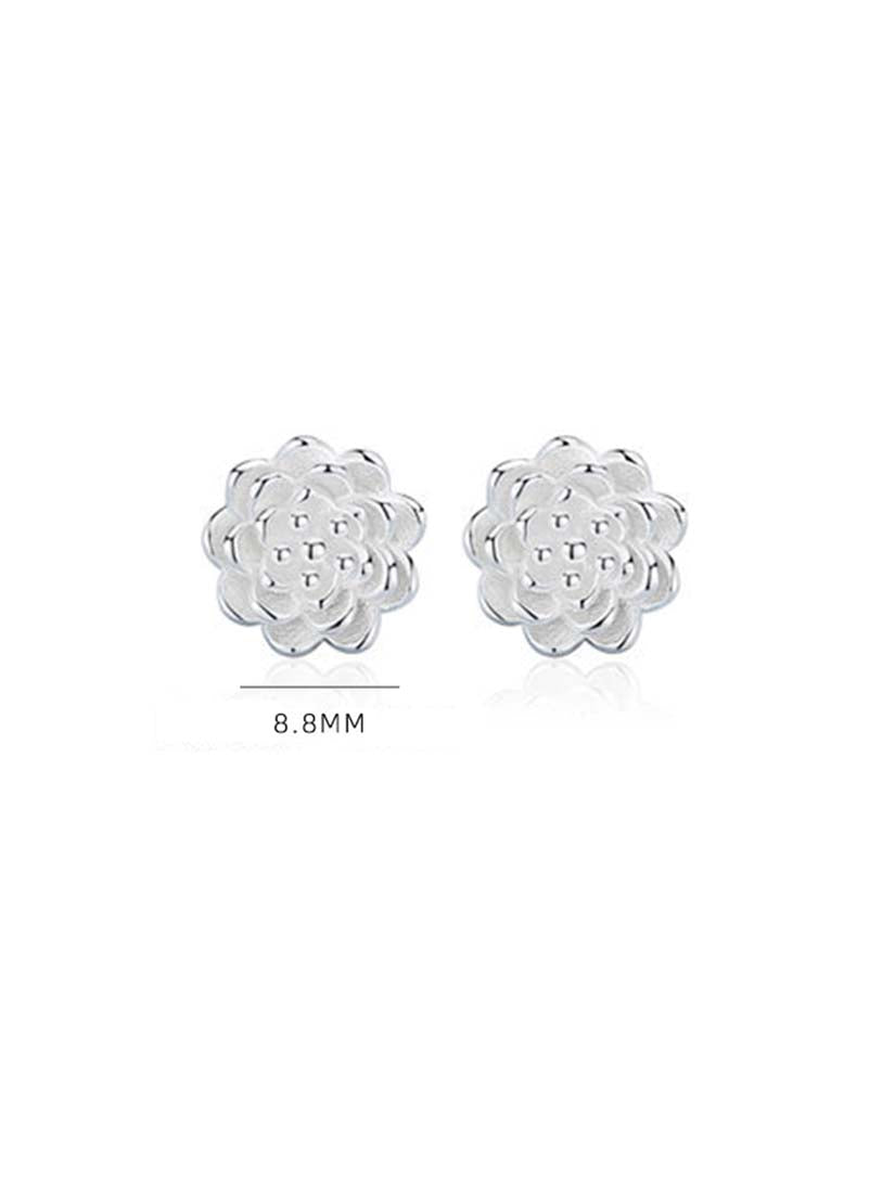 STE325E - Silver Earrings
