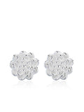 STE325E - Silver Earrings