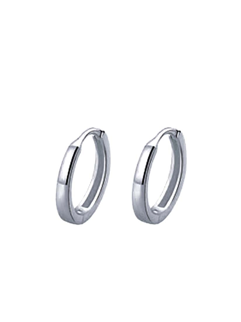 STE333E - Silver Earrings