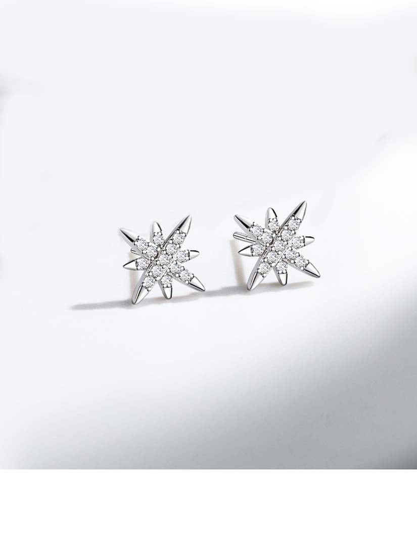 STE336E - Silver Earrings