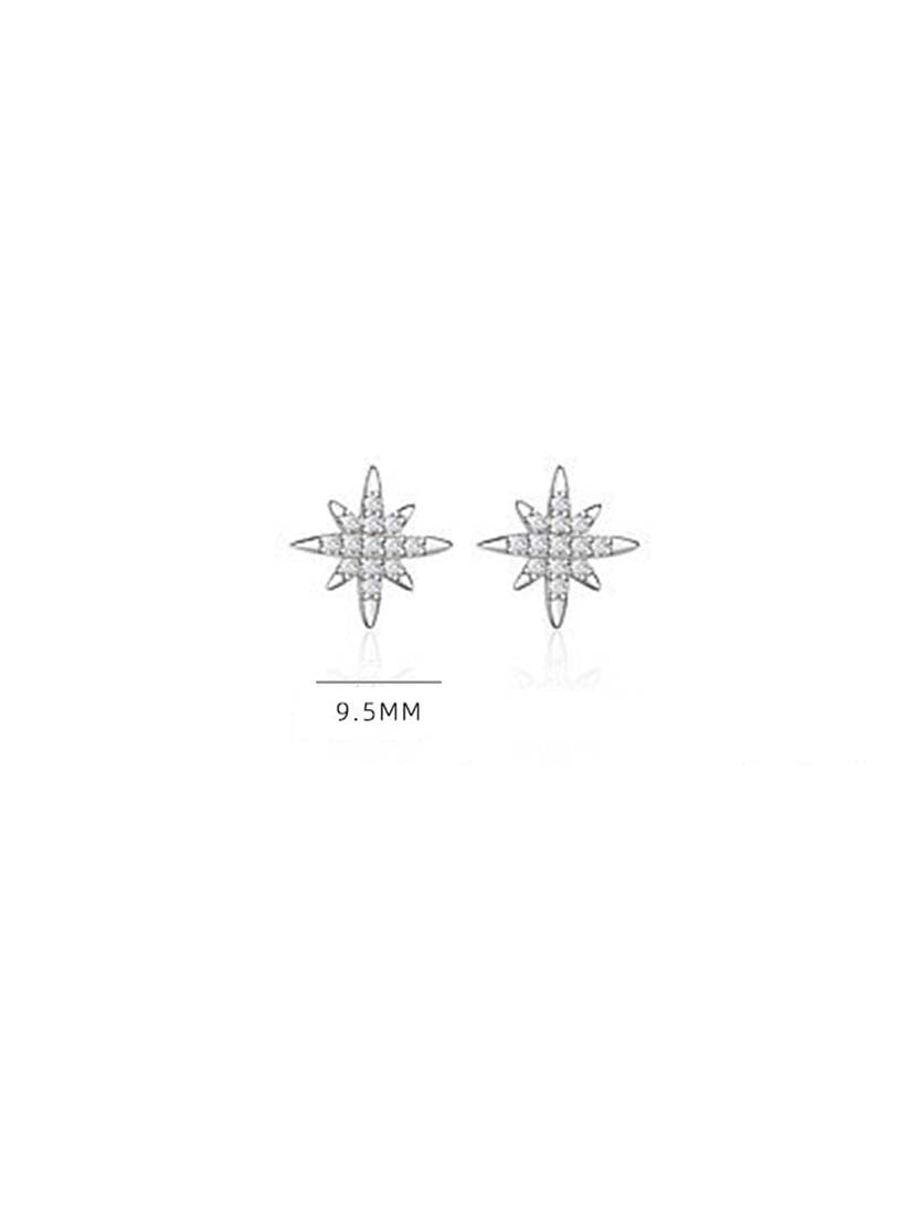 STE336E - Silver Earrings