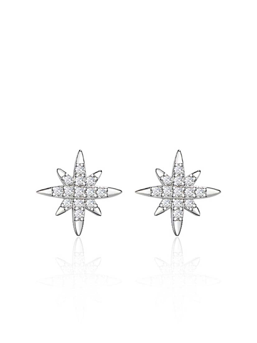 STE336E - Silver Earrings