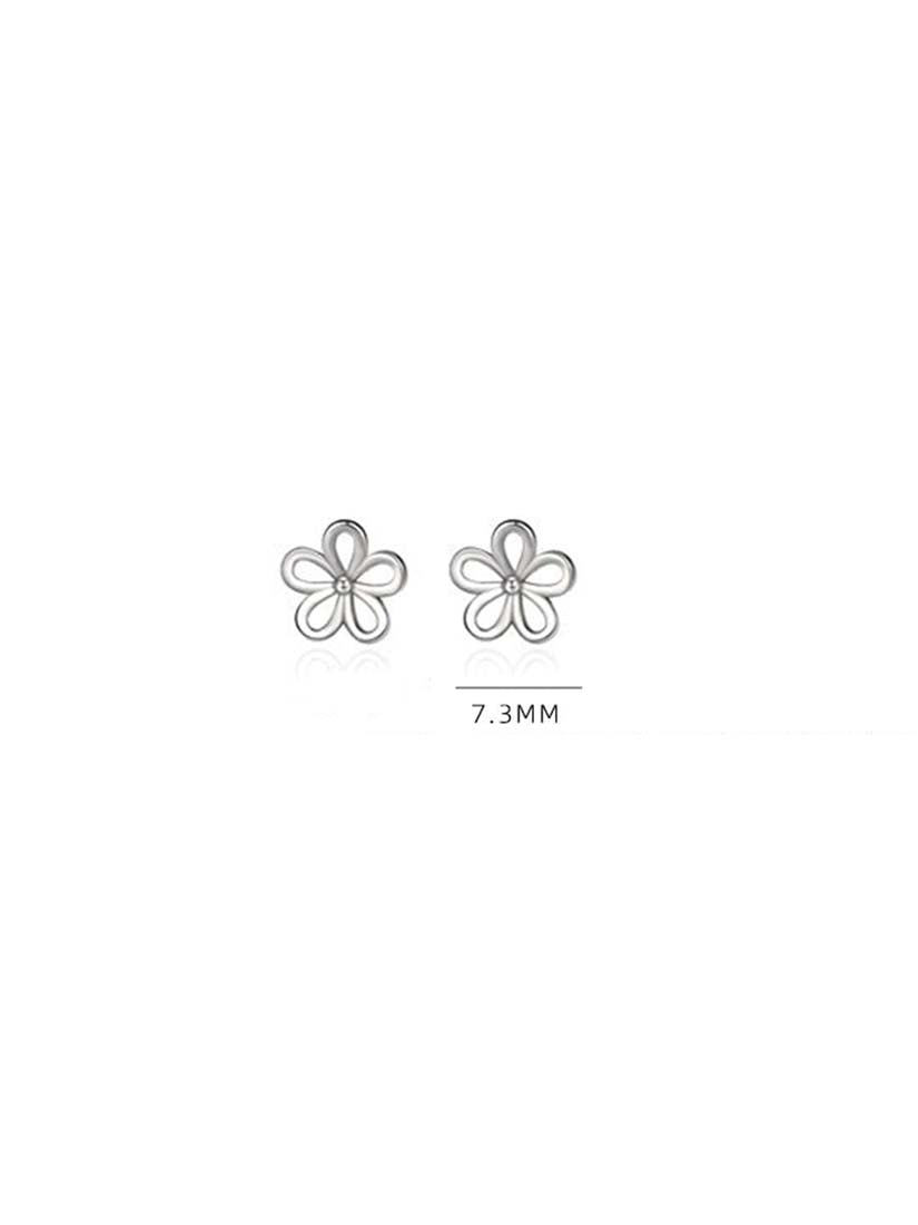 STE337E - Silver Earrings