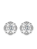 STE429E - Silver Earrings