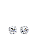 STE437E - Silver Earrings