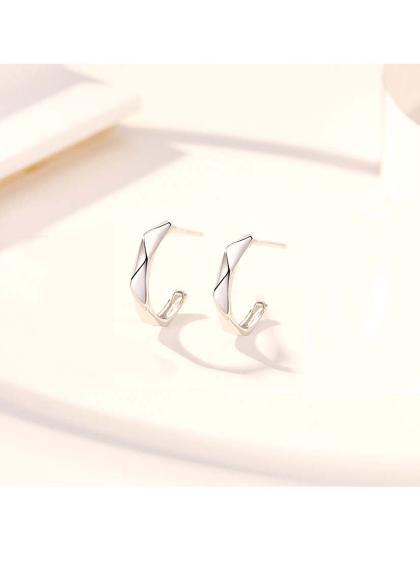 STE445E - Silver Earrings