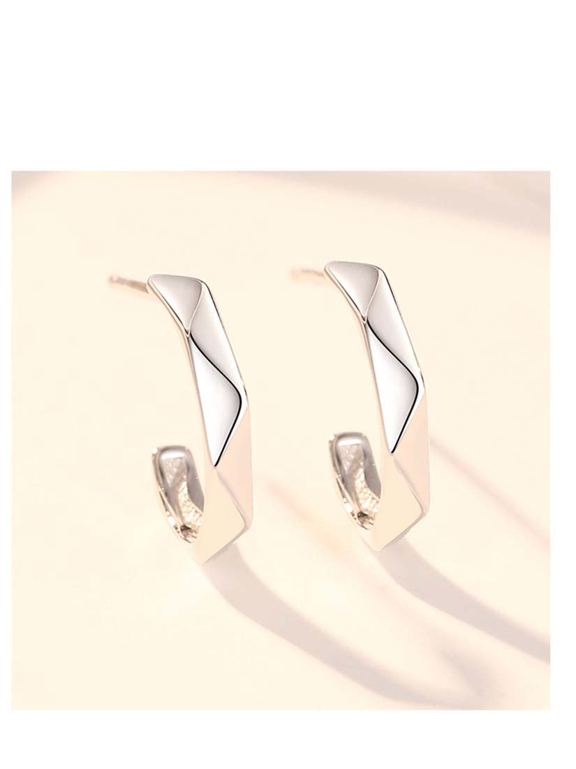 STE445E - Silver Earrings