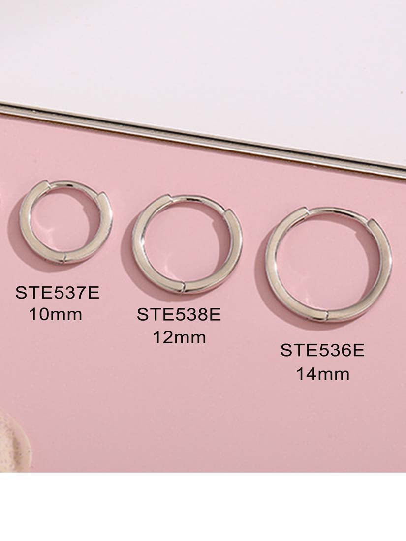 STE536E - Silver Earrings