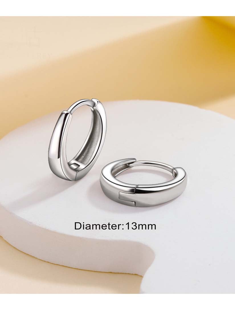 STE540E - Silver Earrings