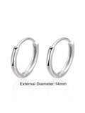 STE544E - Silver Earrings