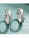 STE547E - Silver Earrings