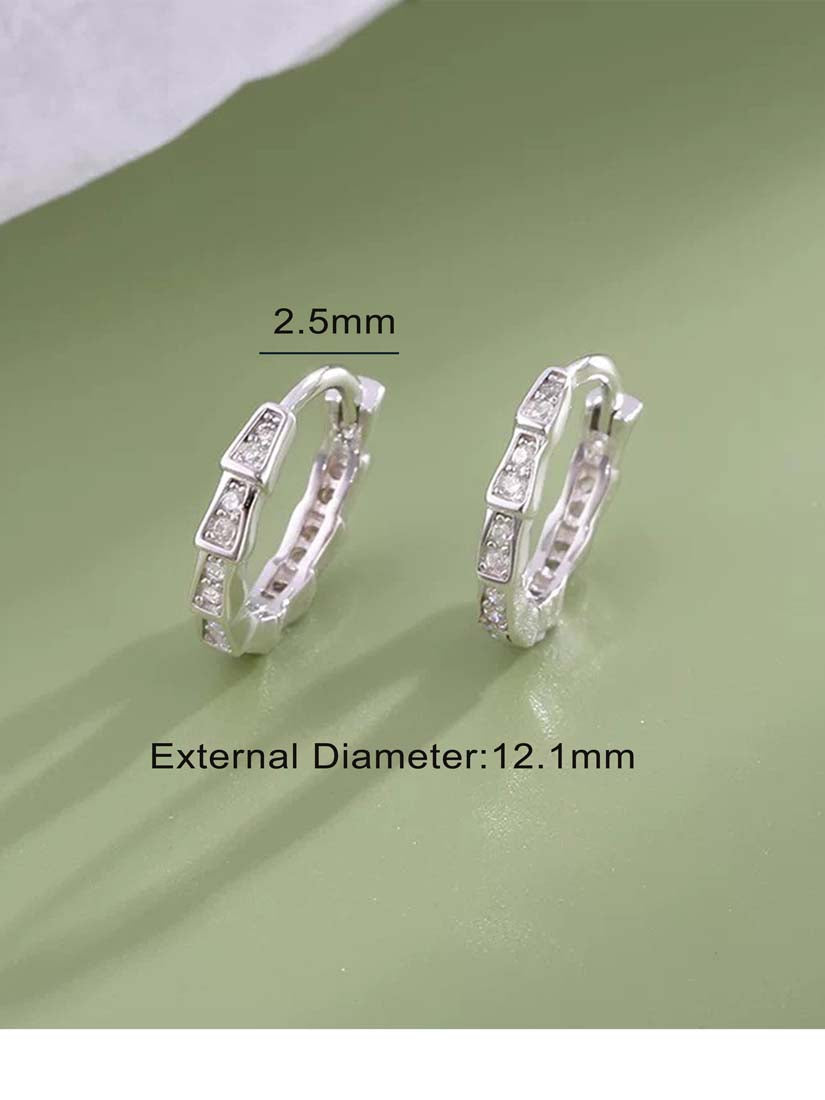 STE552E - Silver Earrings