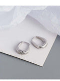 STE555E - Silver Earrings