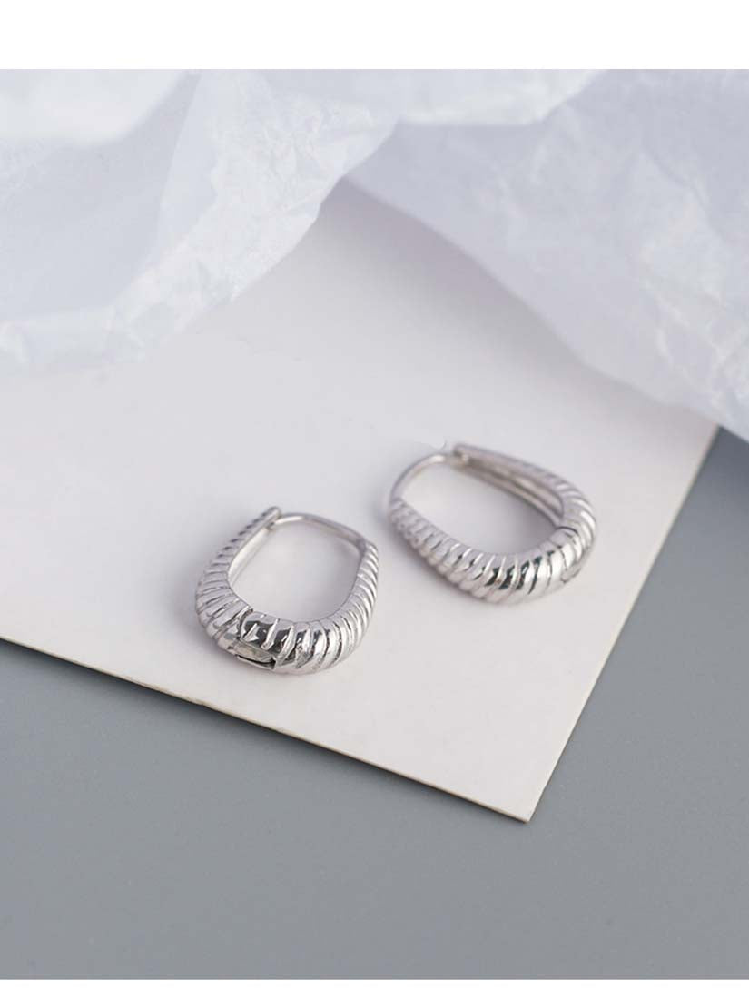 STE555E - Silver Earrings