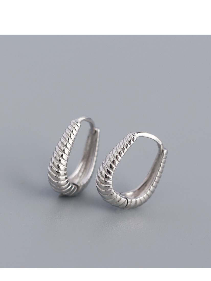STE555E - Silver Earrings