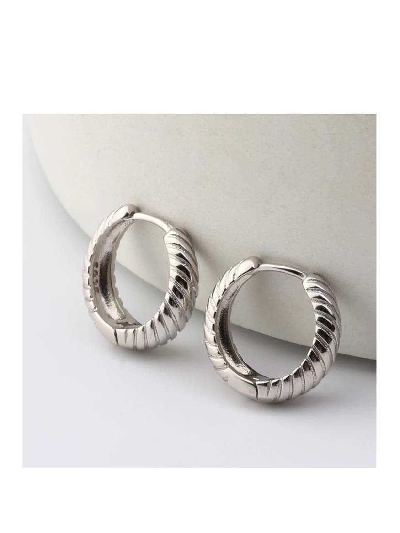 STE564E - Silver Earrings