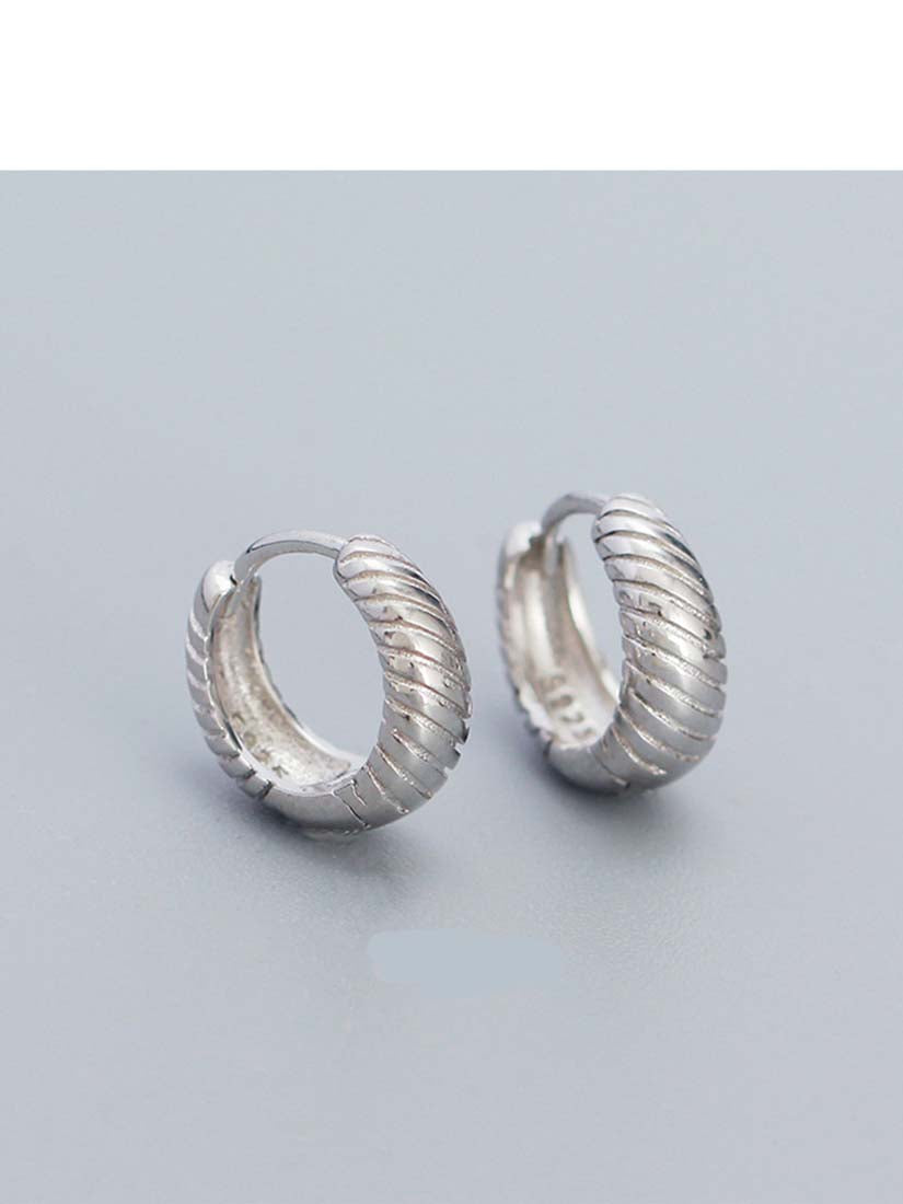 STE564E - Silver Earrings
