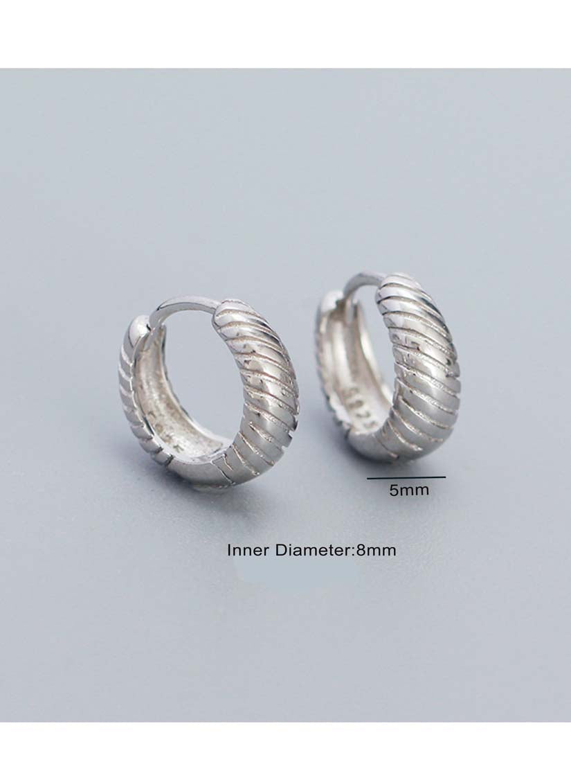 STE564E - Silver Earrings