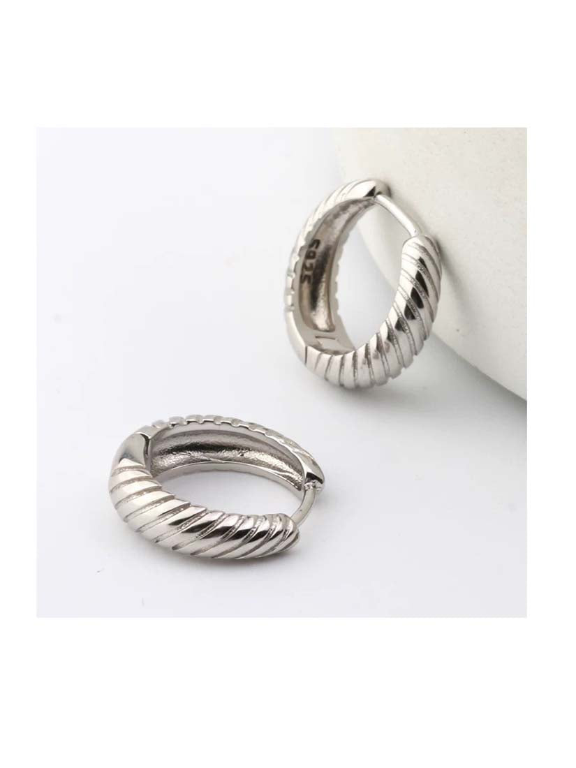 STE564E - Silver Earrings