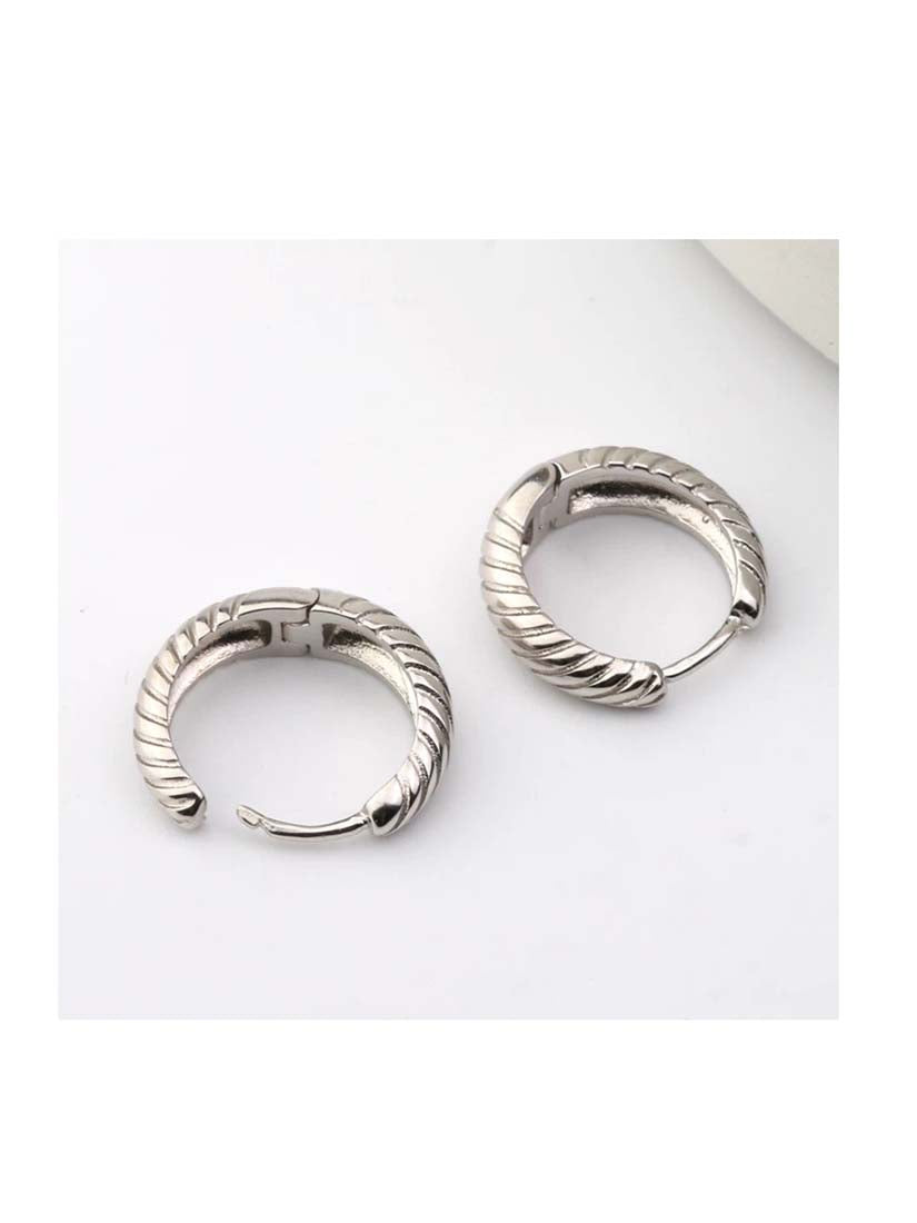 STE564E - Silver Earrings