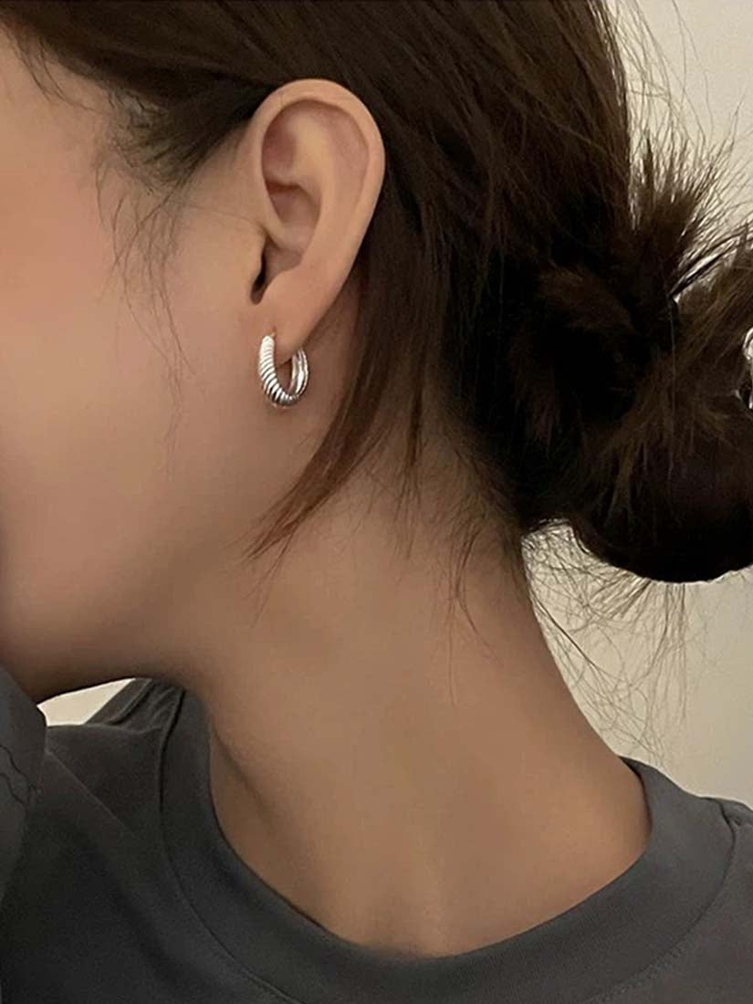 STE564E - Silver Earrings