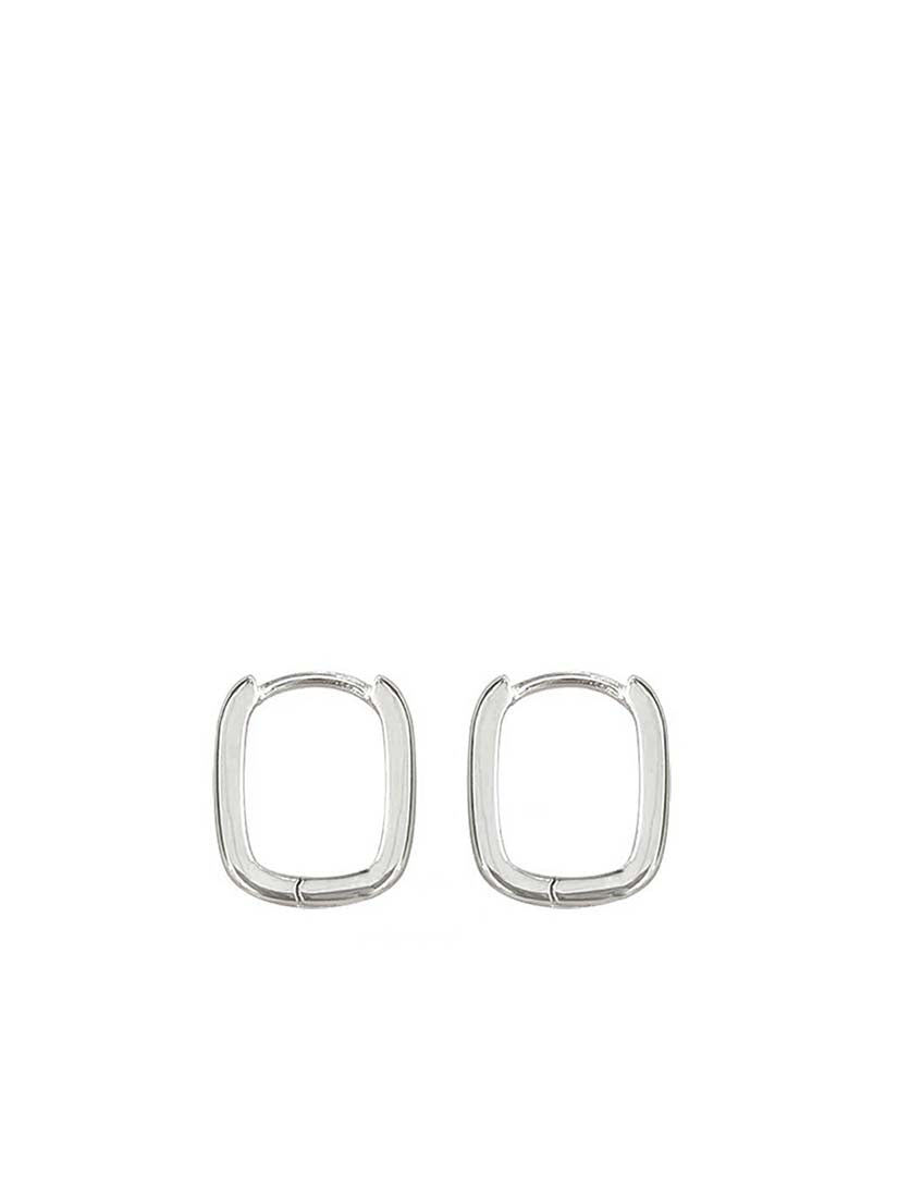 STE602E - Silver Earrings